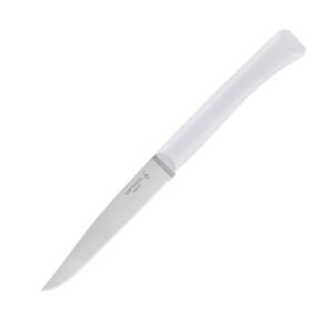 Нож столовый Opinel N°125 , полимерная ручка н/с